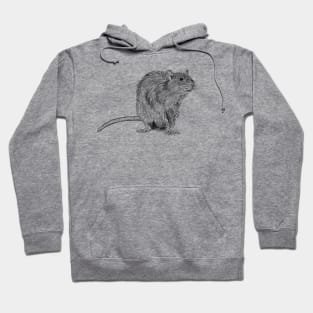 Rat scientific nature black ink pen drawing illustration Hoodie